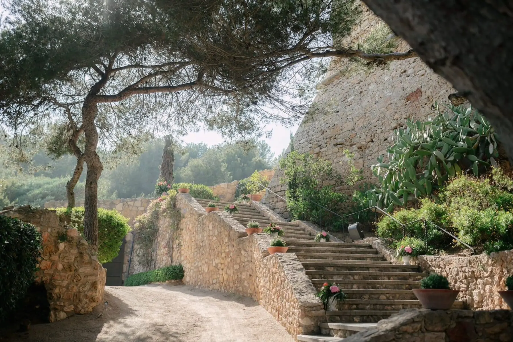 Stone stairs through pines up to the castle
